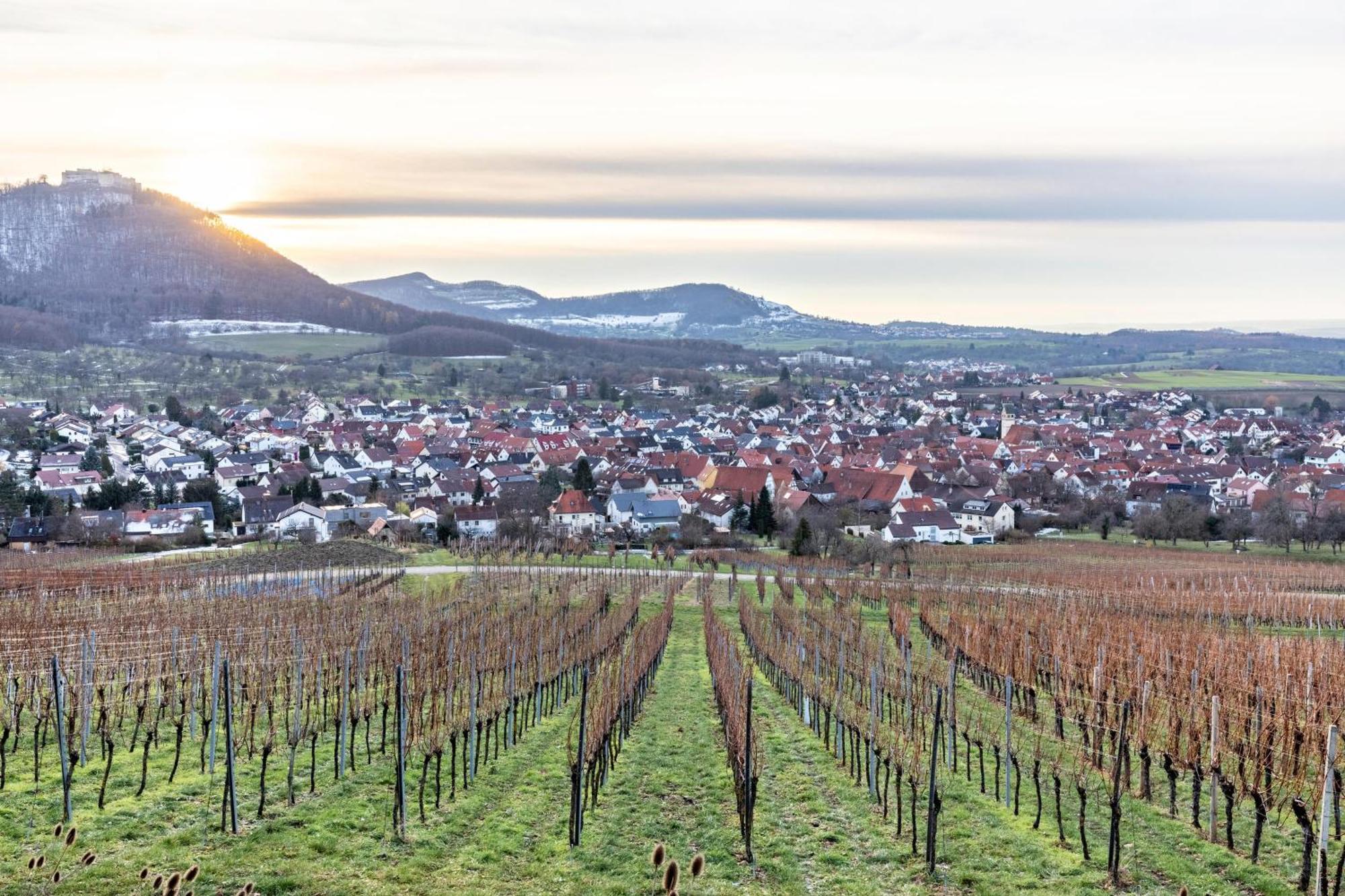 Lejlighed Studti 134 Beuren (Esslingen)